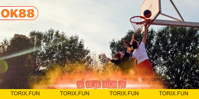 Blog - OK88 - TORIX
