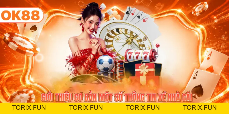 Giới Thiệu OK88 - Trang Chủ Uy Tín, Dịch Vụ Đẳng Cấp - TORIX
