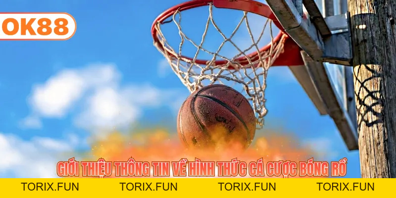 Cá Cược Bóng Rổ - Khám Phá Kèo Và Mẹo Chơi Từ Cao Thủ - TORIX