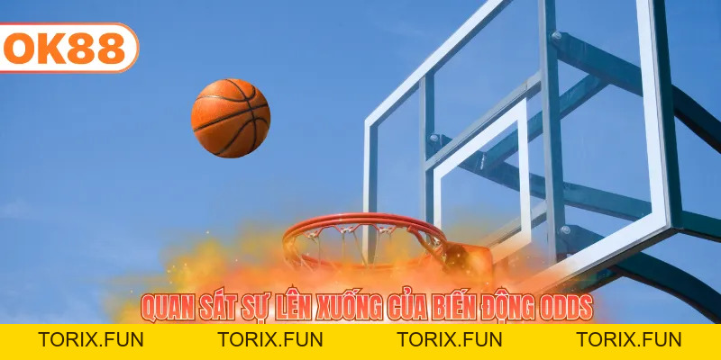 Cá Cược Bóng Rổ - Khám Phá Kèo Và Mẹo Chơi Từ Cao Thủ - TORIX