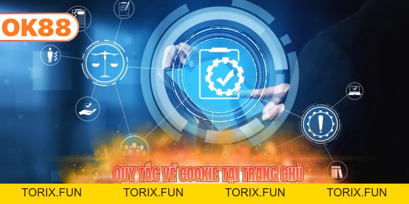 Chính Sách Bảo Mật - Quy Tắc Bảo Mật Tuyệt Đối 2026 - TORIX