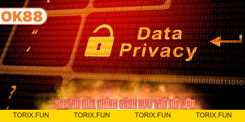 Chính Sách Bảo Mật - Quy Tắc Bảo Mật Tuyệt Đối 2026 - TORIX